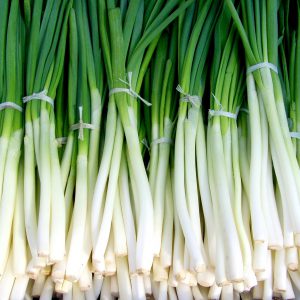 Green Onions - Bunch