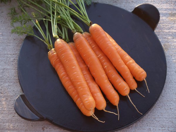 Carrots, Large Nantes 3 lb.