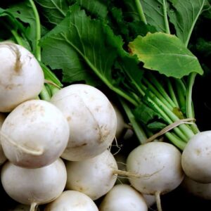 Hakurei Turnip - Bunch