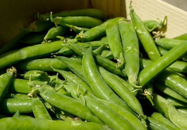 Shelling Peas - 1 lb. bag