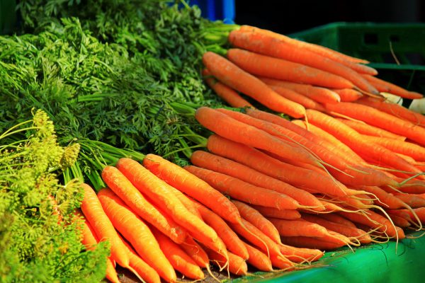 Carrots, 1 Bunch New Crop