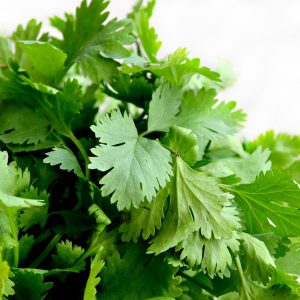 Herb, Cilantro - 1 bunch