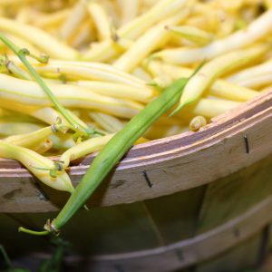 Beans, Green & Yellow Pole Beans - Small Pkg