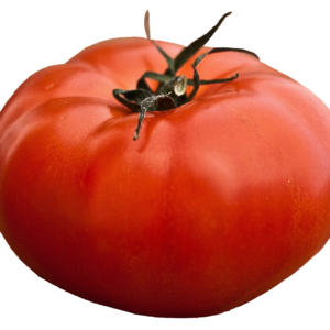 Tomato, Big Beef - single