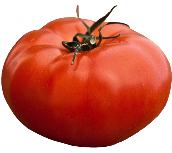 Tomato, Big Beef - single