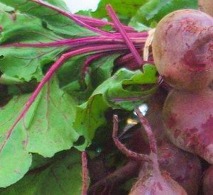 Beets, Red - 1 Small Bunch with greens