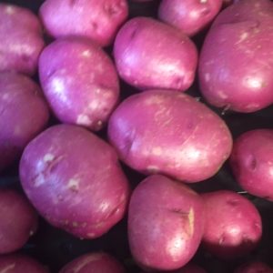 Potatoes, New Red - 1.5 to 2 lb.