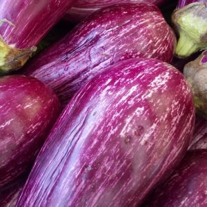 Eggplant, Small/Medium Striped