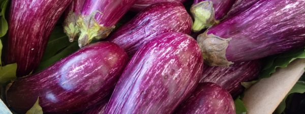 Eggplant, Small/Medium Striped