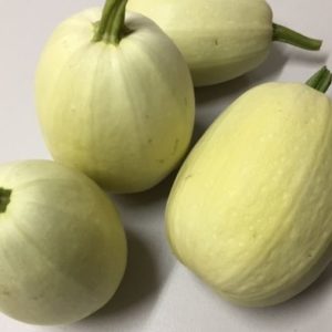 Spaghetti Squash - Medium/Large