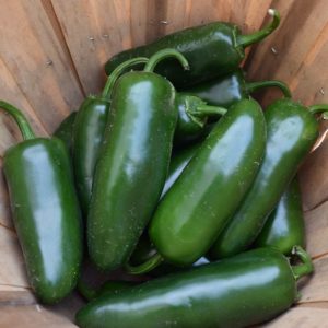Jalapeño Peppers, 1/2 lb.