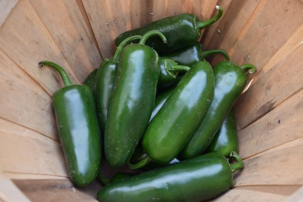 Jalapeño Peppers, 1/2 lb.