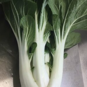 Bok Choy, White Large