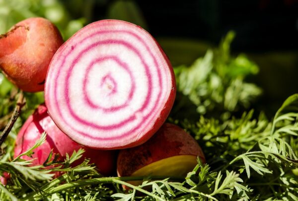 Beets, Chioggia - 1 Bunch with greens