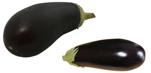 Eggplant, Small/Medium - 2-pack