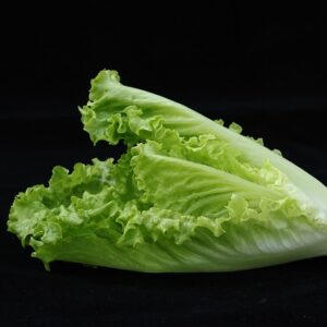Lettuce, Chalupa - Small Romaine