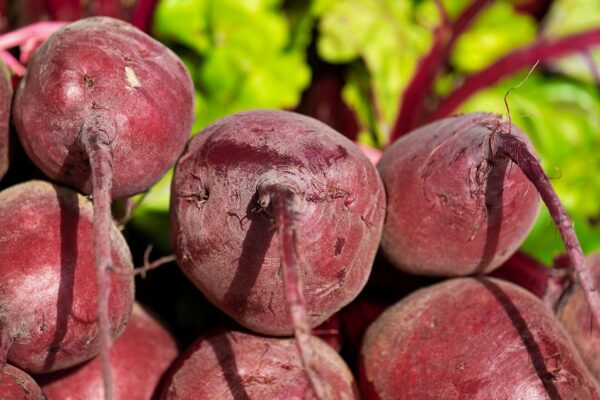 Beets, Red - 1 Bunch - No Greens