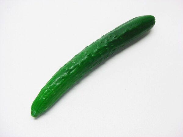 Cucumber, Long English Type, Sashimi