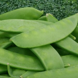 Snow Peas - 6 oz.