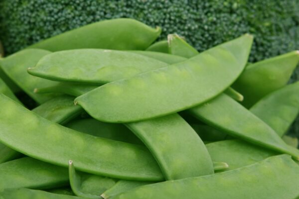 Snow Peas - 6 oz.