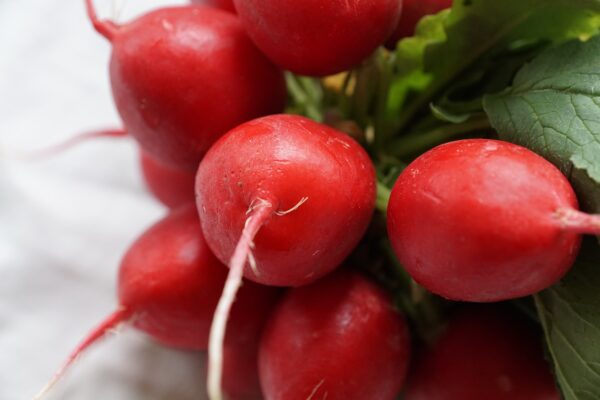 Raxe Radish