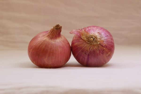 Onion Blush - each