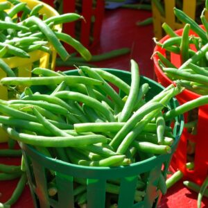 Beans, Green Bush