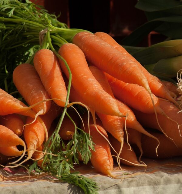 Carrots, Large BULK approx. 2 lbs.