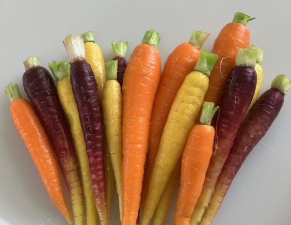 Carrots, Novelty (Coloured)