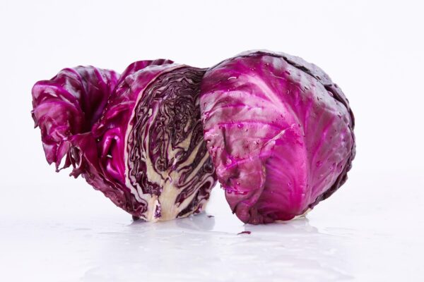 Cabbage, Red - Small/Medium